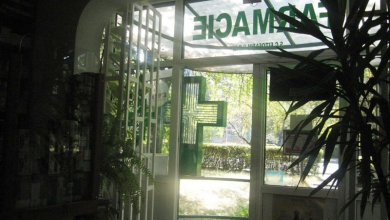 img-2010_2.jpg