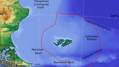 insulele-falkland-35792300.png