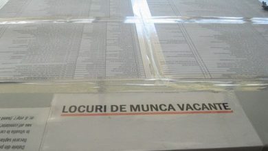 locuridemunca_6.jpg
