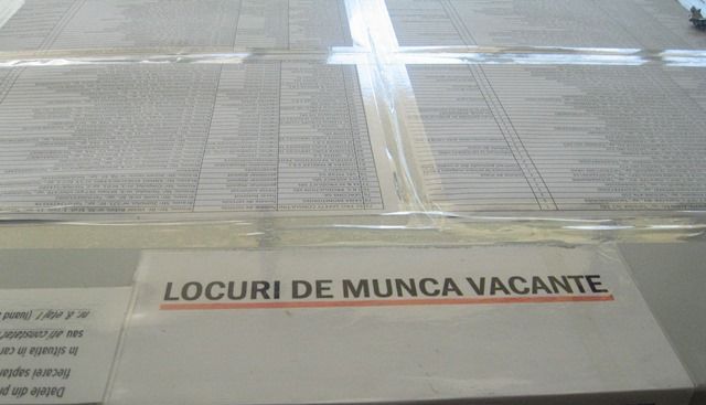 locuridemunca_6.jpg