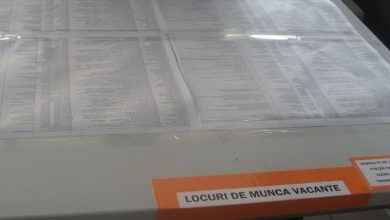 locuridemunca_8.jpg