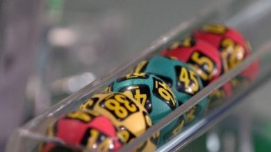 loto_15.jpg