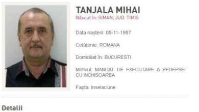 mihait.png