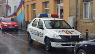 poli1_213649.jpg
