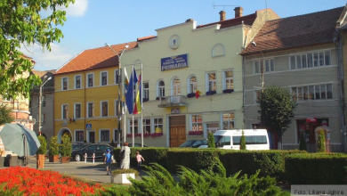 primriafgra.jpg