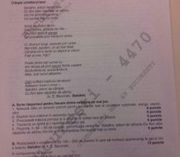 subiect-evaluarea-nationala-limba-romana-614x1024_215443.jpg