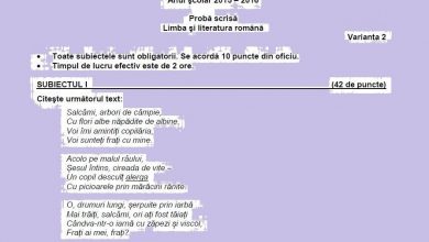 subiectromanaevaluare.jpg