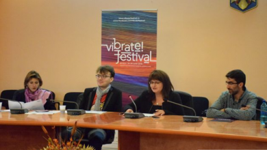 vibratefestivalconferinta1_214566.JPG