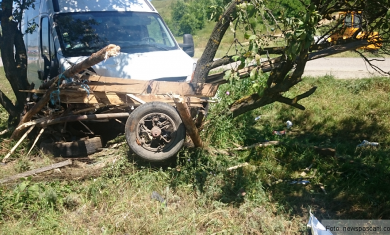 Căruţaş omorât de un şofer slovac! (FOTO) 1 accidentcaruta.png
