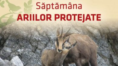 afis-saptamana-ariilor-protejate-a3-low.jpg