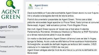 agentgreen1_2.jpg
