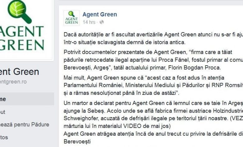 agentgreen1_2.jpg