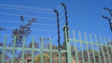 gardelectric.jpg