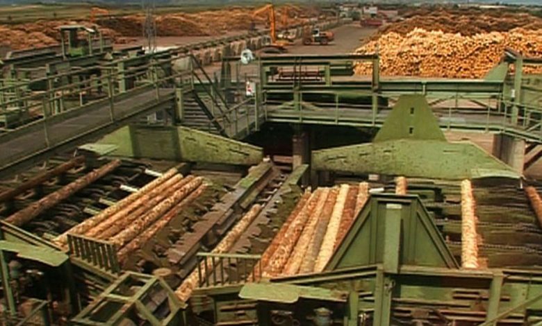 Holzindustrie Schweighofer reacționează în urma unui articol despre defrișările ilegale din Argeș 1 holzindustrieschweighofer.jpg