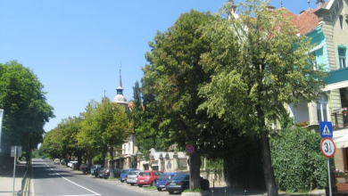 img-1755.jpg