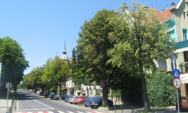 BRAŞOV. Locuitorii de pe Warthe-Stejeriş ameninţă cu blocarea drumului spre Poiană 1 img-1755.jpg