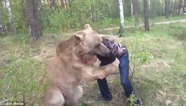 ÎNFRICOŞĂTOR. S-a luptat cu URSUL (FOTO) 1 luptaurs.jpg