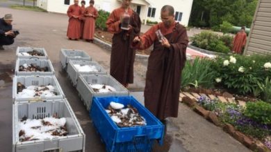 monks-free-lobsters_216570.jpg