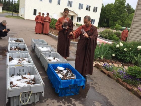 monks-free-lobsters_216570.jpg