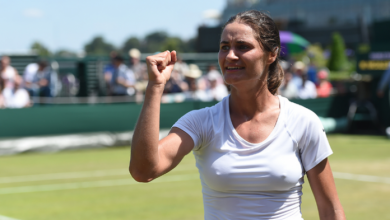 niculescu.png
