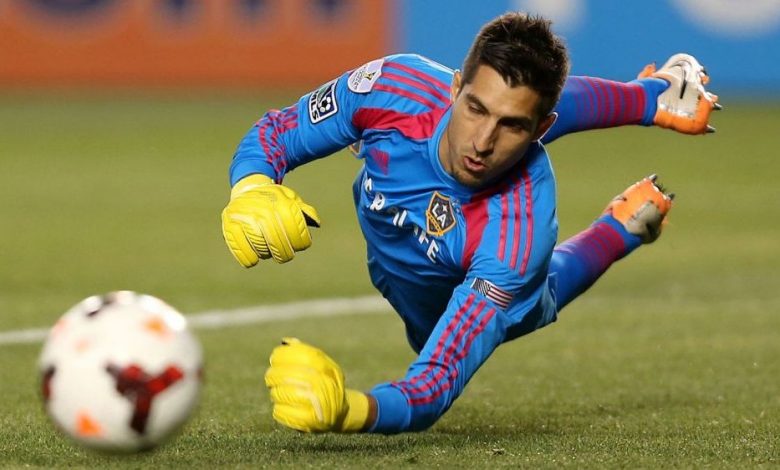 Dinamo are portar de la COPA AMERICA!!! 1 penedo.jpg