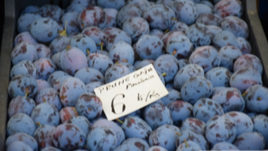 preturi legume fructe piata Star 5_189784.JPG