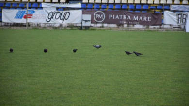 FC BRAȘOV. Încă o reunire ratată. Doar porumbeii mai au treabă pe gazonul Stadionului „Tineretului” 2 reunirefcbrasov3_216018.JPG