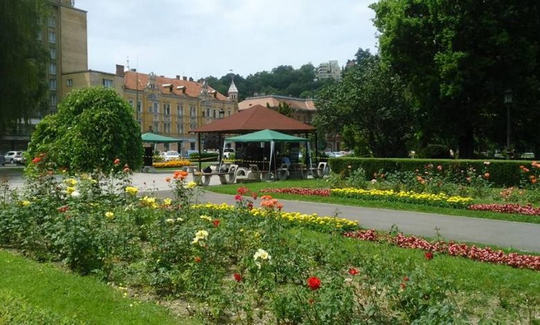 BRAŞOV. Festival de rock în parc 1 rockinparc1.jpg