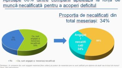 studiu1_216116.jpg