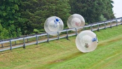 zorbing.jpg