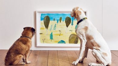 Dominic-Wilcox-art-for-dogs-exhibition_list_219468.jpg