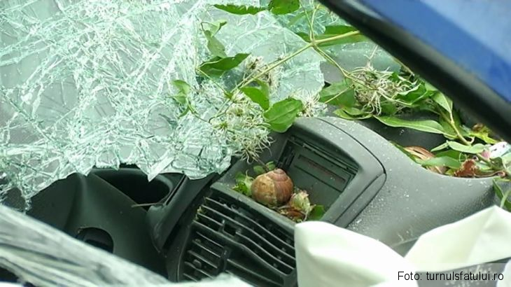 Cei doi tineri găsiţi morţi pe un câmp de lângă DN 1 se întorceau de la mare (FOTO) 1 accident camp sibiu 2_219009.jpg