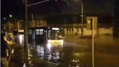 autobuz_4.jpg