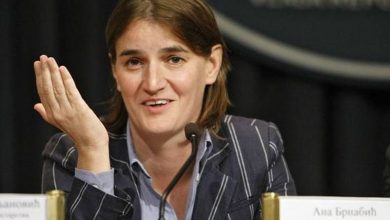 brnabic.jpg