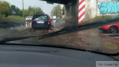 bvinundatii3_218980.jpg