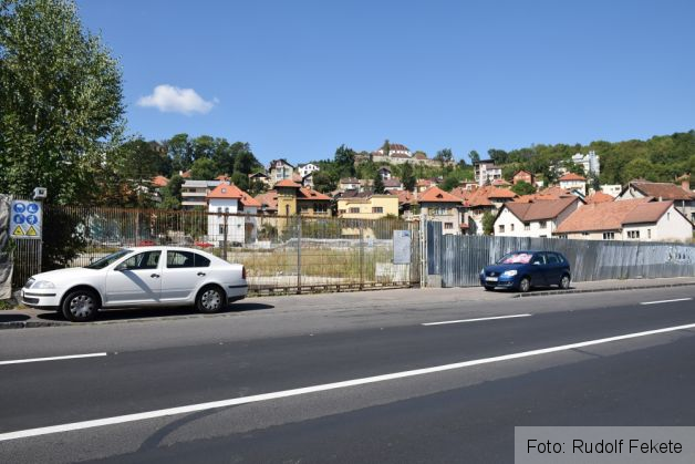 cibolidledemolat1_218503.JPG