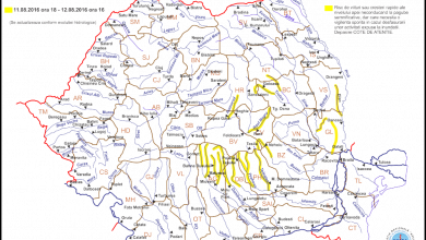 codginundatii.png