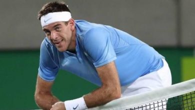 delpotro_3.jpg