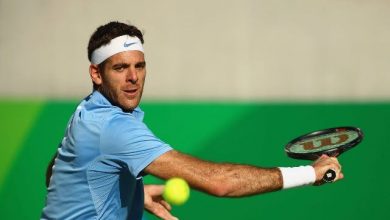 delpotro_4.jpg