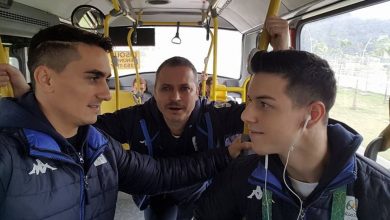 dragulescu1_2.jpg