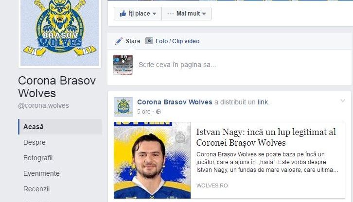 facebookcorona1.jpg