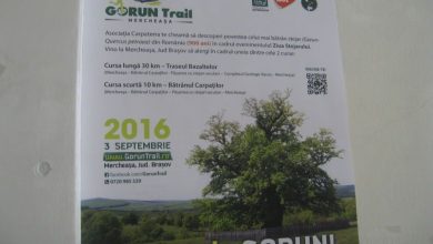 gorun.jpg