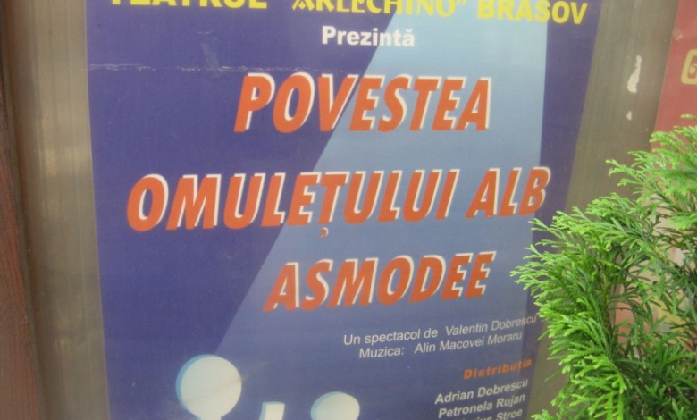BRAȘOV. Spectacol de păpuşi, în aer liber 1 img-1958.jpg