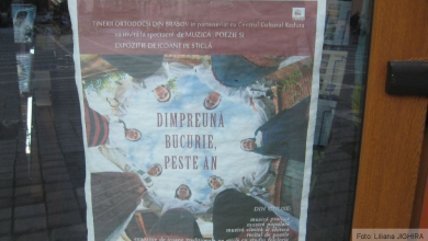 BRAŞOV. Muzică, poezie şi icoane pe sticlă 4 img-2419.jpg