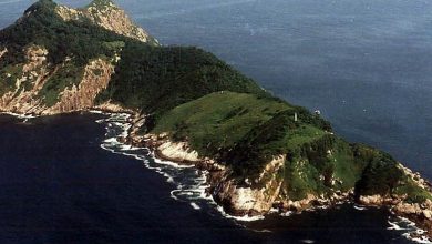 insula.jpg