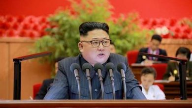 kim_8.jpg