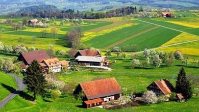 mediulrural.jpg