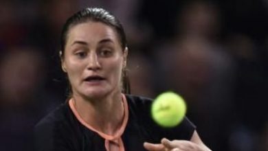 niculescu_15.jpg