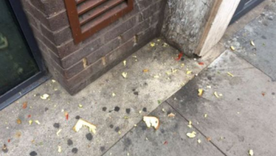pesto1_219892.jpg