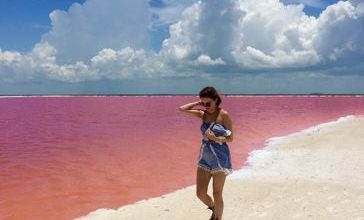 pink-lagoon-las-coloradas-mexico-22_218982.jpg